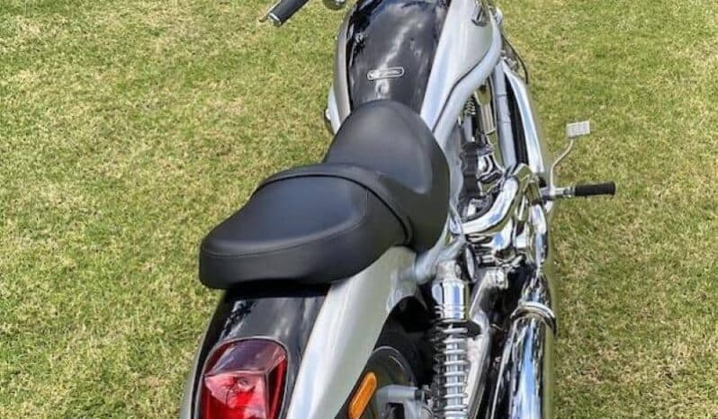 
								2003 Harley-Davidson V-Rod 100th Anniversary (VRSCA) full									