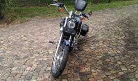 2008 Harley-Davidson 1200 Custom (XL1200C)