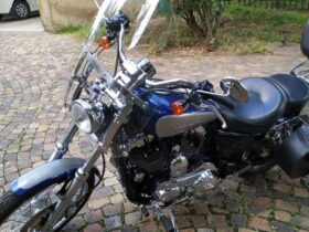 2008 Harley-Davidson 1200 Custom (XL1200C)